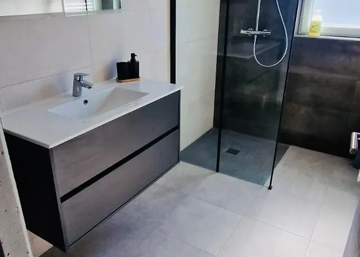 Alsacien Lejlighed Roggenhouse